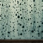 UK Landlord responsibilities for mold and damp issues